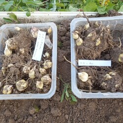 IMG_20250921_172028b87ed92f57895342