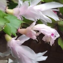 negativ-19-decfb5adcf6d34a4431