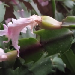 positive-19-dec6bdd35615aee14c3