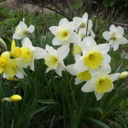 IMGP255047d599d275fc53b7