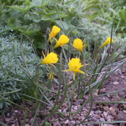 IMGP2955d92d2ec83ba1ece4