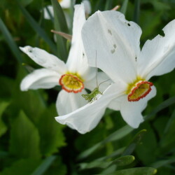 P110047418771a7d1aeb9a5a