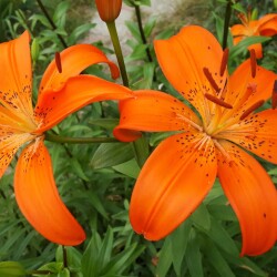 MgSbu4dgEIA_LlkJJ7j5NiI93MCJe3nP95_6Abz_gqOE9ukaWCIJ_PWnNR5hbCoMc2Egby_LELJQVpgUfyNll46u010548bf1a5101cc