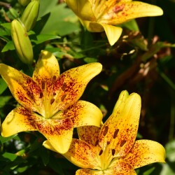 fUpJkLQwbkWFl69-BTO3vwukjqrNmvslBzj2Q5LPpCjBuEDeFxJmOCzPbqFrSWVaTanDxhfgsjpdu996zICtE3zqa5d2e43d0f541d69