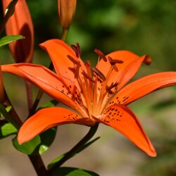 iLN_80QcARU7qDWbEBKOoF9yBJk8a2TkRymqWzVy1M8nMC3-npNJGVGJlx_eIl4bDnRBDQcxIRjwoCX3Jb7WvfD424017561b775d257