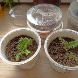 IMG_20250620_150541514e89b53df814b2