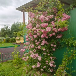 IMG_20250701_1745233591e266f88f60fe