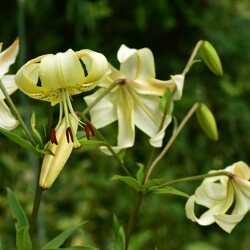 cR0Ufxdzvi0RtSLYBHio9sAhOaAiNZFvJvOjih7i5BPcXl2XZeGxaST9cvZhsUJTsWjWDPdCnJoy06a5pBJzSwUFb6dbdababb4668a5