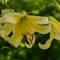 52252763872_dc2453f57d_be752b127d1970dc9