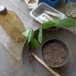 IMG_20250713_0756310016f72f9b081822