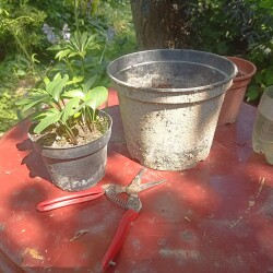 IMG_20250726_121329d0f9f72cc049f2b7