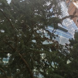 IMG_20250728_115251ad62886dcbd0e191