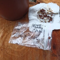 IMG_20250802_09111304d0b00b9344d99b