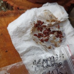 IMG_20250802_09112366f48321e6828b0f