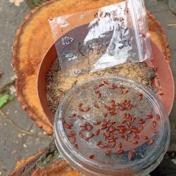 IMG_20250802_091652195fcac9dff8a383