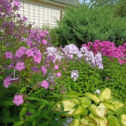 IMG_20250809_0908095dcc3e639a3cbd77