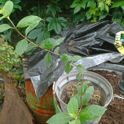 IMG_20250823_162147edc9fb2af33c99a5