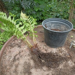 IMG_20250824_131033d8a6cdede1b8aa70