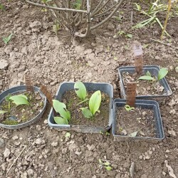 IMG_20250826_124131ce2dffcda6444b1f