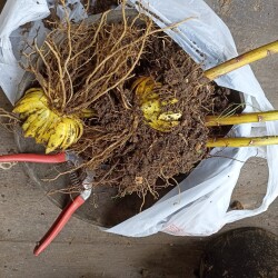 IMG_20250831_150747fd72278a82d128b4