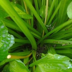 IMG_20250901_08563580abb6f5b35c94f0