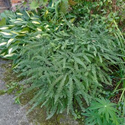 IMG_20250905_1155040b76e36804a7b723