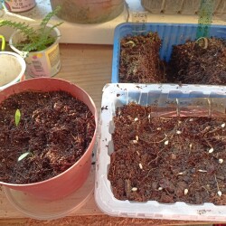 IMG_20250909_173235d3d071fdbb8f09cc