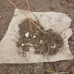 IMG_20250927_125543f5d7b0660240713d