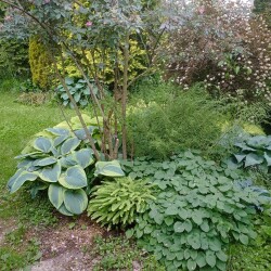 IMG_20250612_18090584d6b444a51a7b48