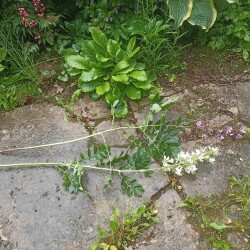 IMG_20250618_082721c352d6640d1c63f4