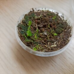 IMG_20250620_1452204f8686b5018a3d73