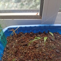 IMG_20250630_07590120359ba76f516a7f