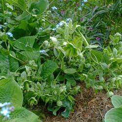 IMG_20250531_08402562b0e394242372b5