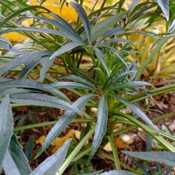 IMG_20251012_1446287dd167d6f50bb08b