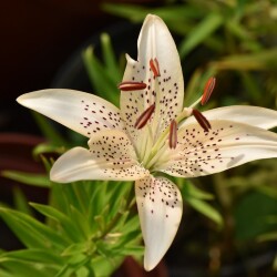 53839309777_9c1a08a6bb_b8e1b3c389befc3d6