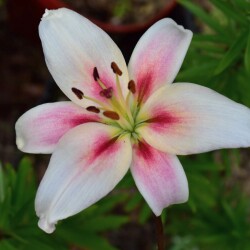 GiEtaosUgWPFYktXDeO86jBAOf8Af27VeclKePguC2cAKVkqihb1GeQAo_YnUUs1YimftpnlPQILVx0om4Q4XkE6202b9dcdaaeb796be