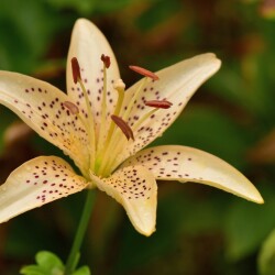 Tc75P8FZEOpWSOHPm_1E9KhcQJ6_YXbZnNfnP_2yaW628qt9Pb8ydZufZW1WZN0sVq4XoWkkhxMMdrNX3HQyexH03b9aa1384a0537080