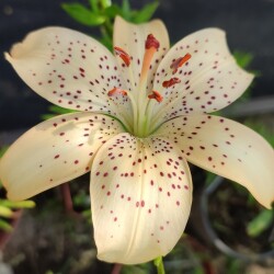 U7hiXvCiXML7SEKJaHjL3bi7-gv-ddWBvlw1yGqxvYShERd4Y1m4X9hehtRbH48EHKhsdhjmLLVfDHVWbrX-9Hda12a5970d66d3c408