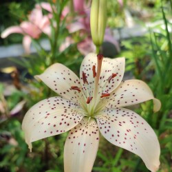 uwFtq-kvF-7kNKY3gzUmox0NNx2lm14xAOx_t__W9GbezzP0hVVYZ12oK9ge10xbSiYpfPKu7-xOhBxGHU5SxUp8c38bb1def27c3928