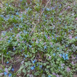 IMG_20250418_18024720c4728fac618a6b