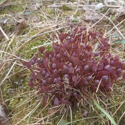 IMG_20250419_091926d6a512a28c9bbee6