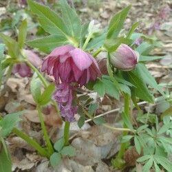 IMG_20250419_0932387f99db5f884e477a