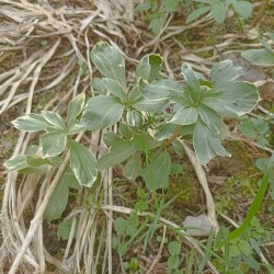 IMG_20250422_0936355a2c94f87f32803b