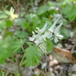 IMG_20250428_130918450f2ee66fcebb82