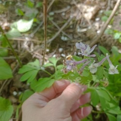 IMG_20250428_13114004fcf25e2b8e41d7