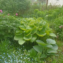 IMG_20250531_115859b07c4c0c6e534ad0