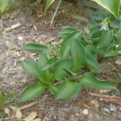 IMG_20250531_120122e321214a1237518b