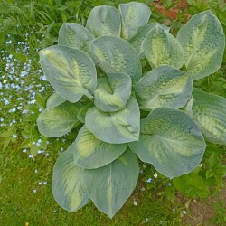 IMG_20250531_122419d1acb9b85485dab9