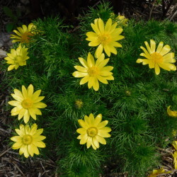 DSCN9042ddae49e1f18ce698