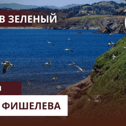 Igor_Fishelev_zelenyi_62b69356bfec0365c